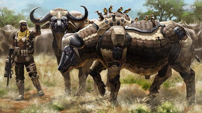 只能选一个，你选谁？