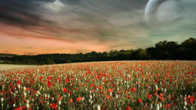 肩袖肌群损伤了应该怎么办？